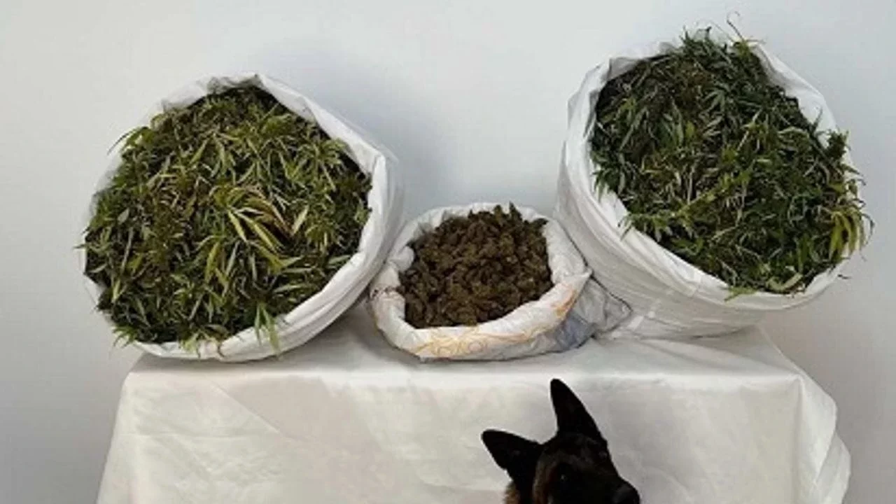 Dix ans de prison en Turquie pour deux jeunes « mules » françaises