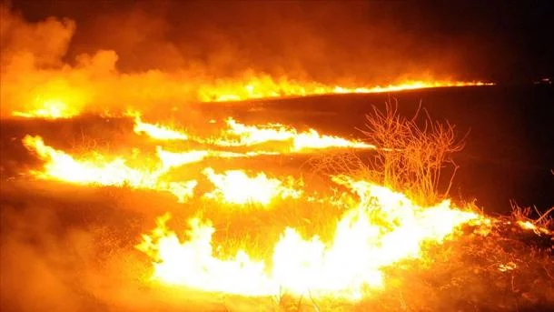 Syrie : l'organisation terroriste YPG/PKK incendie les terrains agricoles des villageois