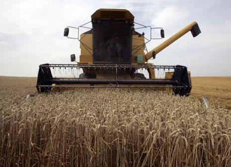 Croissance de la production agricole en Turquie 