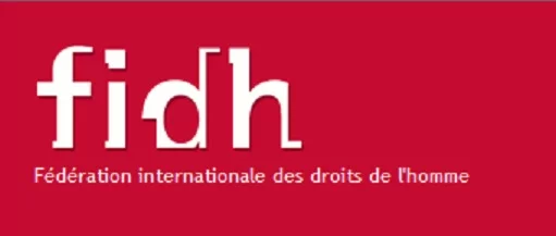 Israël/Bande de Gaza : La FIDH dénonce une tragédie, conséquence directe de l'impunité