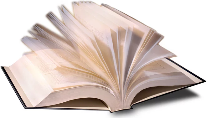 Livre Blanc sur les Investissements français en Turquie : retour d'expérience