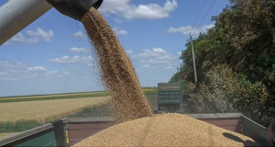 Chargement de céréales d'Ukraine dans un wagon