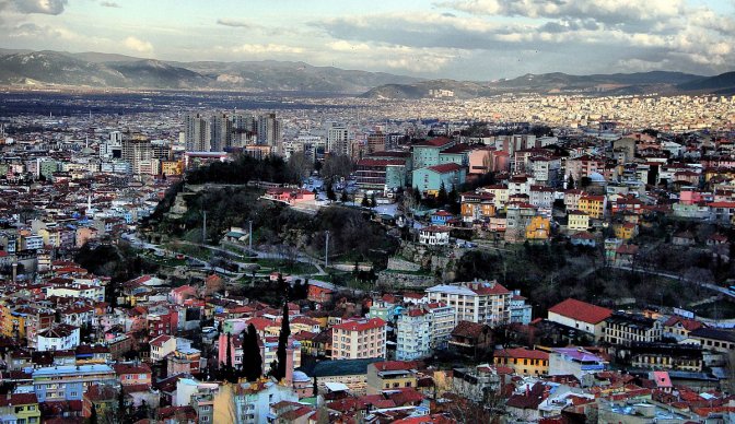 Bursa