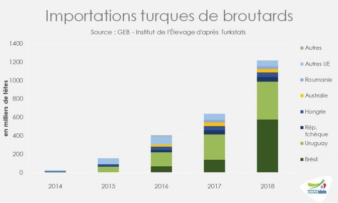 Graphique sur l'importation de broutards en Turquie 2018