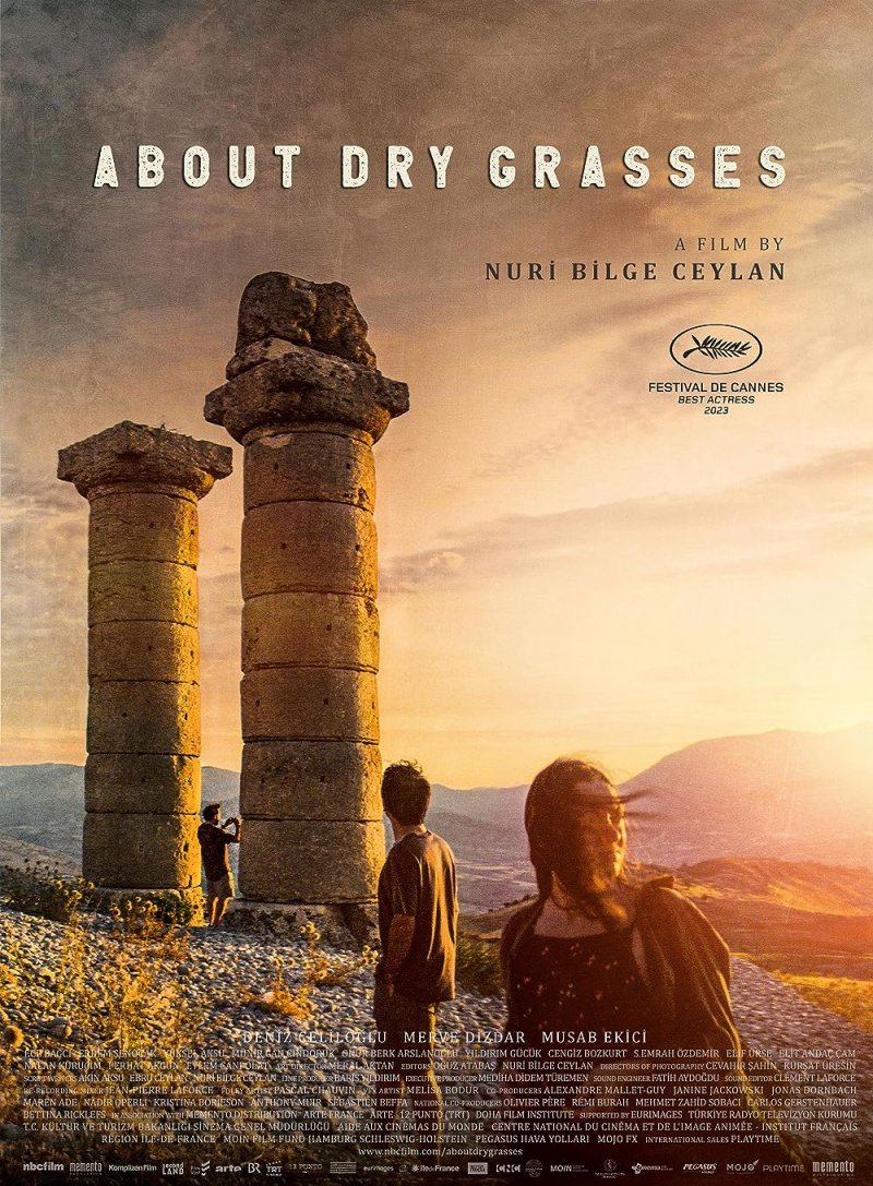 Les Herbes Sèches, de Nuri Bilge Ceylan, ou la chute des idéaux