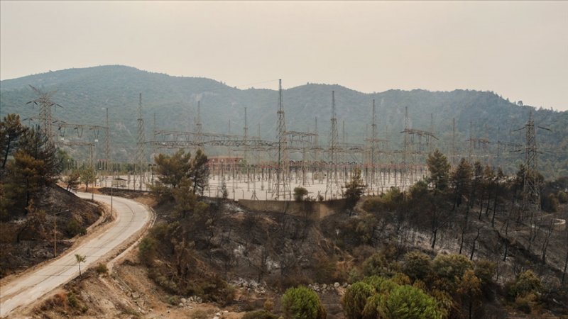 Route dévastée suite à un Incendie qui a atteint le bord d'une centrale électrique dans la province de Mugla