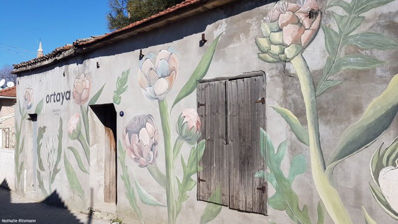 Urla, membre du World Gourmet Cities Network, est réputée pour ses artichauts